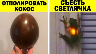 Что будет, если... (2 серия)