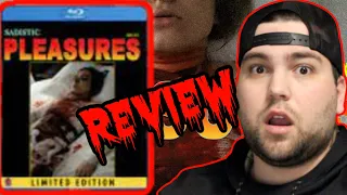 Sadistic Pleasures (2021) | A Baroque House (Movie Review)