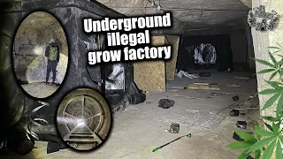 UNDERGROUND ILLEGAL GROW FACTORY (WE EXPLORED)