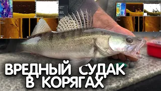 ГДЕ СУДАК??? ЧТО показывает ЭХОЛОТ? РАЗБОР скриншотов ЭХОЛОТА LOWRANCE HDS LIVE