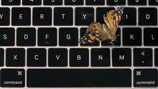 Apple's Faulty MacBook Butterfly Keyboard Explained... With Real Butterflies | WSJ