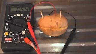 Как добыть электричество при помощи картошки опытным путём