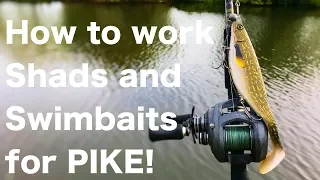 How to work Shads and Swimbaits when canal fishing for Pike! quick tips