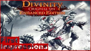 Divinity: Original Sin Enhanced Edition - First Impressions