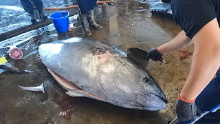 World's sharpest knife cuts 300 kg giant bluefin tuna