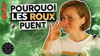 Pourquoi les roux puent ? | Léa Bello | Le Vortex #40