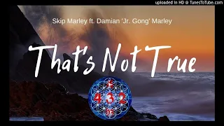 Skip Marley feat. Damian 'Jr. Gong' Marley - That's Not True 432 Hz