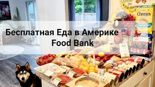 Бесплатка | много еды | БЕСПЛАТНАЯ еда в АМЕРИКЕ 🇺🇸 Food Bank #@AmericaLEANA #фудбанк #сша #foodbank