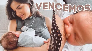 AMAMENTAÇÃO: a minha história 🤱🏽 | Vanessa Lino