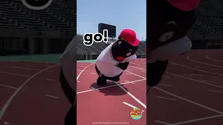 【KUMAMON WORLD】Kumamon tries the 100 meter dash!