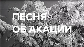 Песня об Акации | Белая акация | 1957