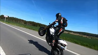 Wheelies Monster 1100s