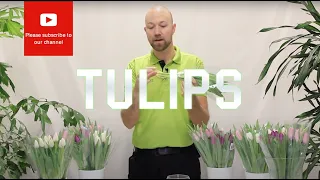 Tips and tricks Tulips