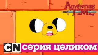 Время приключений | Джейк - кирпич + Золотые звёзды (серия целиком) | Cartoon Network