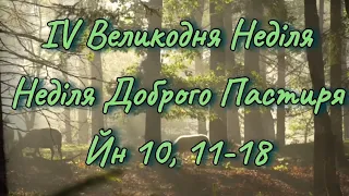 4 Великодня Неділя - Неділя Доброго Пастиря рік Б