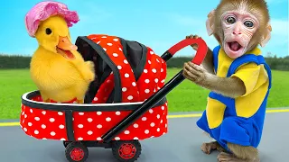 KiKi Monkey try taking care of cute Duckling challenge and go shopping M&M Candy | KUDO ANIMAL KIKI