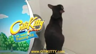Toilet Training Success - Train Your Cat with CitiKitty