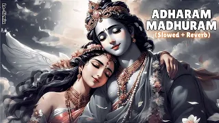 Adharam Madhuram (Slow + Reverb) |  Krishna Bhajan | Bhakti Song | Bhajan Song | Madhurashtakam