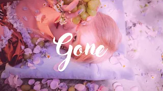 ROSÉ - Gone (lyrics) | Instrumental With Hidden Vocals