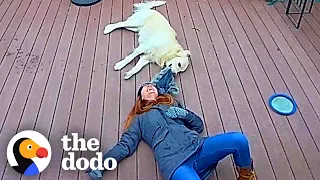 Ring Camera Catches Woman And Her Dog In The Happiest Moment Ever | The Dodo