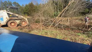 Clearing land with a Bobcat 743