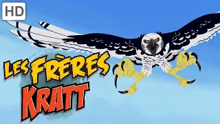 Les Frères Kratt 🦚 Les Adaptations Incroyable Partie 3 🐔| Vidéos pour Enfants