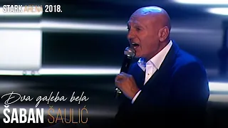 Saban Saulic - Dva galeba bela (STARK ARENA 2018.)