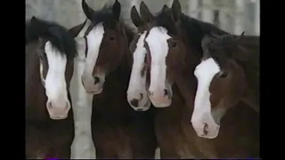 Clydesdales Football ad of 2003 super bowl xxxvii