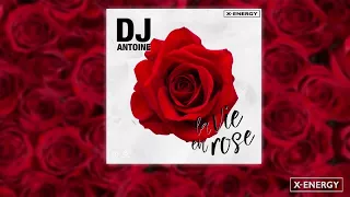 Dj Antoine - La Vie En Rose (Tim Mitchell Remix)