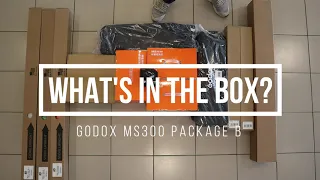 Godox MS300 Studio Flash Strobes 2 light Kit - Package B