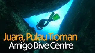 Diving at Juara, Pulau Tioman with Amigo Dive Centre