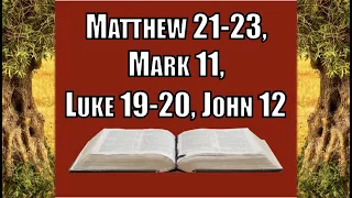 Matthew 21-23, Mark 11, Luke 19-20, John 12, Come Follow Me