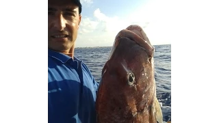 PESCA DALLA BARCA: come pescare i dentici in 4 mosse - Stretto di Messina