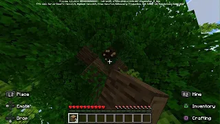 Minecraft Peaceful But I ONLY HAVE ONE LIFE