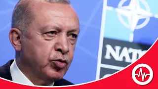 FACT CHECK: Erdogan’s Bogus Case for Booting NATO Ambassadors