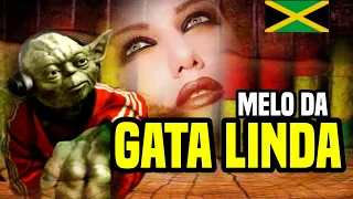 Melô Da Gata Linda | Reggae Remix | Dj Mister Foxx
