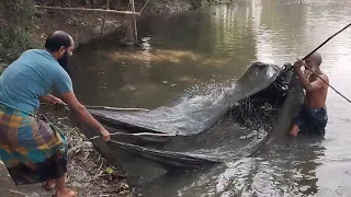 Small fishing method in the canals of Bangladesh with Kathara।। village fishing।। rsl fish cutting