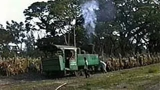 Banjaratma Sugar Mill, Central Java, Indonesia