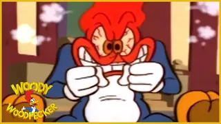 Woody Woodpecker Show | Wally's Royal Riot  Full Episode | Cartoons For Children