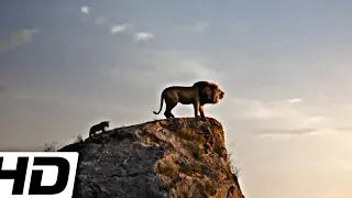 The lion King - Mufasa James Earl Jones - Movieclip (UltraHDl