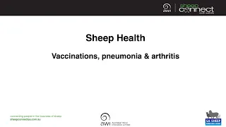Sheep Health:  Part 1 - Best practice vaccination