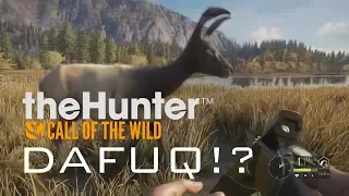 TheHunter: Call of the Wild - Funny Compilation #1