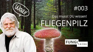 Der Fliegenpilz (Amanita muscaria), Dasein zwischen "Gift" und Glück. Mit Wolfgang Bauer