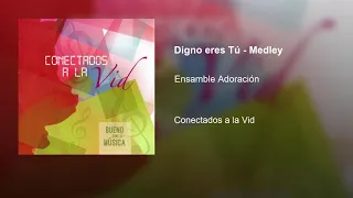 13 - Digno eres Tú - Medley (instrumental) | CD Conectados a la Vid (2015)