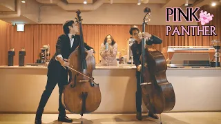 PINK PANTHER Theme (Double Bass)