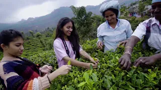 Come and Visit the best 5 star Resorts In Munnar | Blanket Hotel & Spa