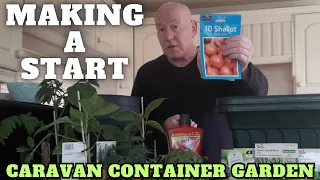 Caravan Container Garden Making A Start