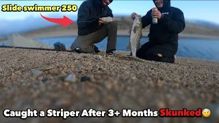 (California Aqueduct Fishing) Caught a Chunker Striper on a 10” Glide Bait!!