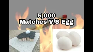 Experiment 5000 Matches V/S Egg