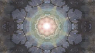 Natural Male Enhancement and Enlargement  - NO FAP - Digital Mandala